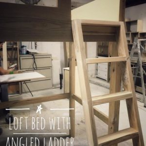 Loft Bed with Angled Ladder